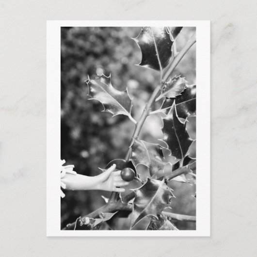 Carte Postale Once upon a time in the woods (Devant)