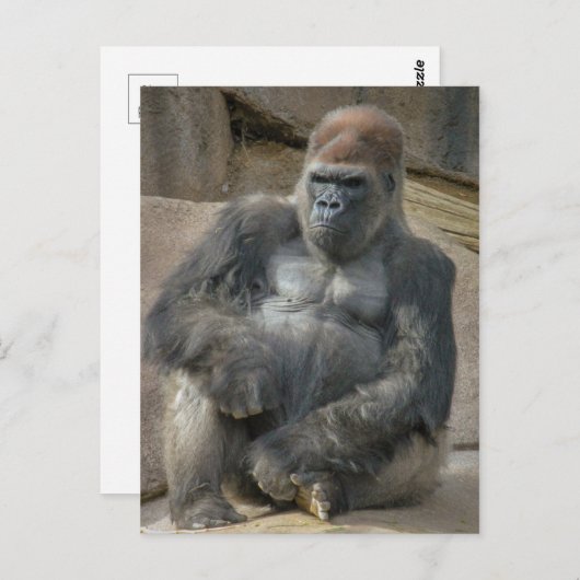 Carte Postale oncle (Devant / Derrière)