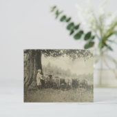 Carte Postale Oncle Bart et le mouton (Debout devant)