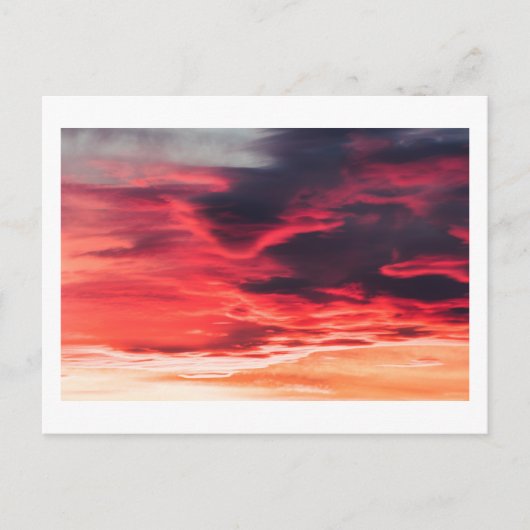 Carte Postale onde féline (Devant)