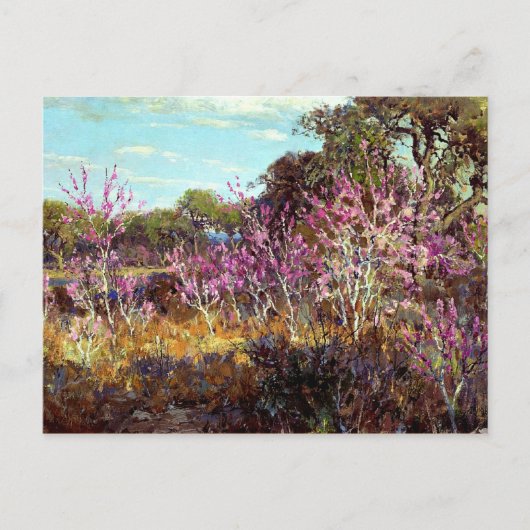 Carte Postale Onderdonk - Rosebud Tree in Bloom à Leon Springs, (Devant)