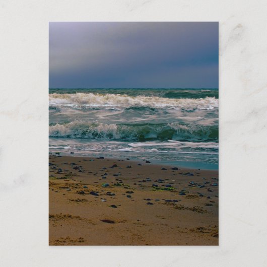 Carte Postale Ondes norfolk (Devant)