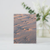 Carte Postale ondulation de sable (Debout devant)
