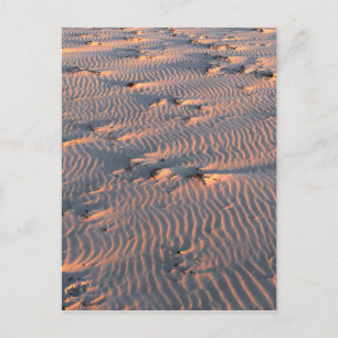 Carte Postale ondulation de sable