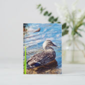 Carte Postale Ondulations (Debout devant)