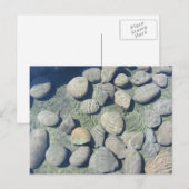 Carte Postale Ondulations sur l'eau (Devant / Derrière)