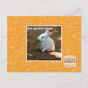 Carte Postale One Garden Down�