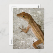 Carte Postale Onglet #2 (Devant / Derrière)