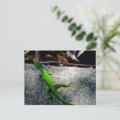 Carte Postale Onglet 6704 (Debout devant)
