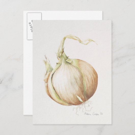 Carte Postale Onion Study 1993 (Devant / Derrière)