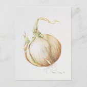 Carte Postale Onion Study 1993 (Devant)