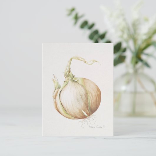 Carte Postale Onion Study 1993 (Debout devant)