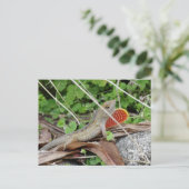 Carte Postale Onle cool Lizard (Debout devant)