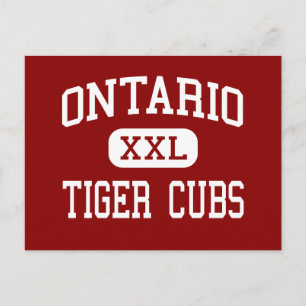 Carte Postale Ontario - Cubes de tigre - Moyen - Ontario Oregon