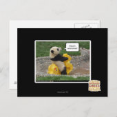 Carte Postale Onwurd, coursier de nobul ! (Devant / Derrière)