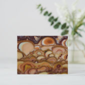 Carte Postale Onyx Brown (Debout devant)