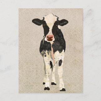 Carte postale Onyx et vaches d'ivoire
