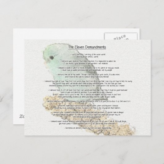 Carte Postale Onze Demandes De Parrotlets (Devant / Derrière)