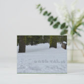 Carte Postale Oooh Tahoe (Debout devant)