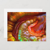 Carte Postale Opale de feu rouge iridescente (Devant / Derrière)