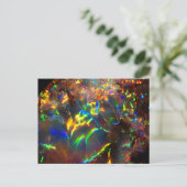 Carte Postale Opale incendie (Debout devant)