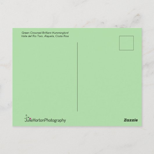 Carte Postale Open d'Hummingbird en vol avec ailes (Dos)