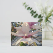 Carte Postale Open Magnolia (Debout devant)