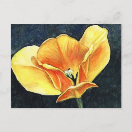 Carte postale Open Tulip Art Flower Art Reproducti (Devant)