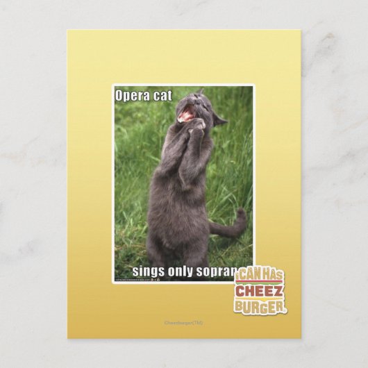 Carte Postale Opera Cat (Devant)
