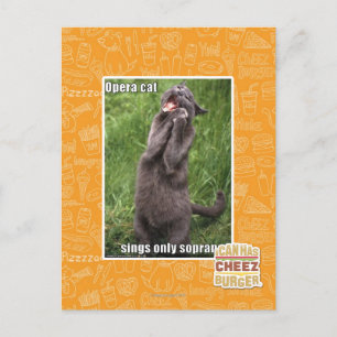 Carte Postale Opera Cat