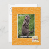 Carte Postale Opera Cat (Devant / Derrière)