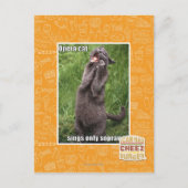 Carte Postale Opera Cat (Devant)