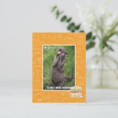 Carte Postale Opera Cat (Debout devant)