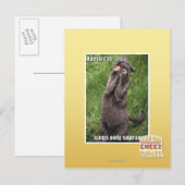 Carte Postale Opera Cat (Devant / Derrière)