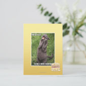 Carte Postale Opera Cat (Debout devant)