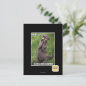 Carte Postale Opera Cat (Debout devant)