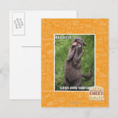 Carte Postale Opera Cat (Devant / Derrière)