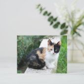 Carte Postale Opera Phantom Chat (Debout devant)