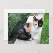 Carte Postale Opera Phantom Chat (Devant / Derrière)