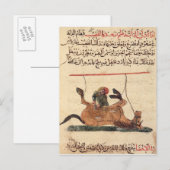 Carte Postale Opération sur un cheval, illustration (Devant / Derrière)