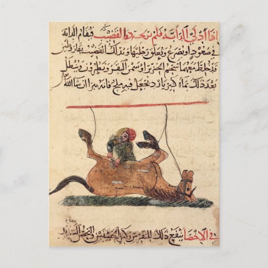 Carte Postale Opération sur un cheval, illustration (Devant)