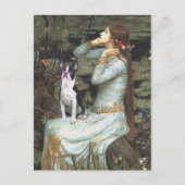Carte Postale Ophelia & - Boston Terrier (Devant)