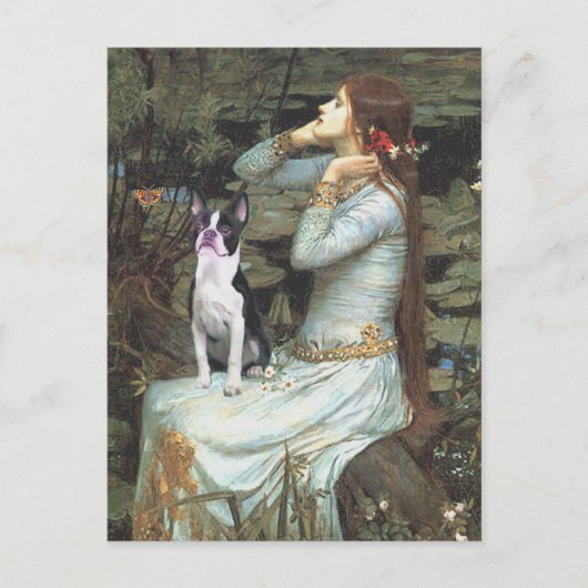 Carte Postale Ophelia & - Boston Terrier (Devant)