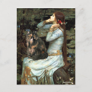 Carte Postale Ophelia - chat calico persan