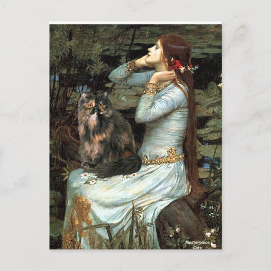Carte Postale Ophelia - chat calico persan (Devant)