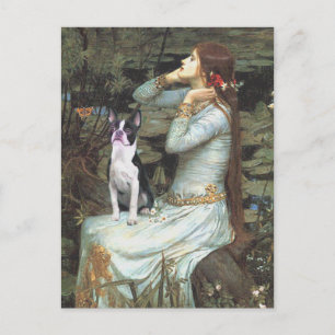 Carte Postale Ophelia & - Terrier de Boston