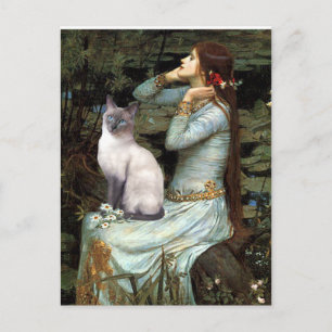 Carte Postale Ophélie - Blue Point chat siamois