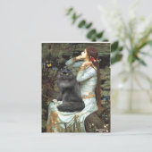 Carte Postale Ophélie - chat perse noir (Debout devant)