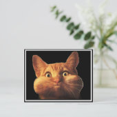 CARTE POSTALE OPOPS CAT (Debout devant)