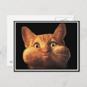 CARTE POSTALE OPOPS CAT (Devant / Derrière)